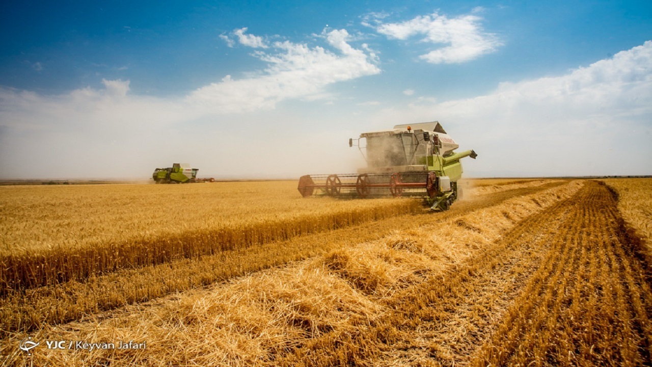 اعلام نرخ خرید تضمینی محصولات کشاورزی به کجا رسید؟